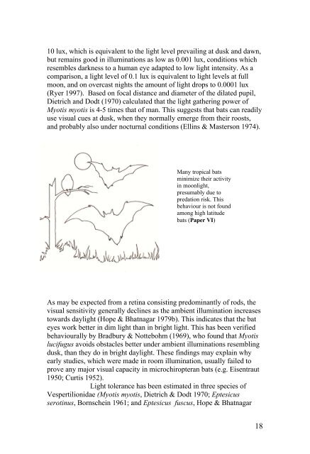 Vision in echolocating bats - Fladdermus.net