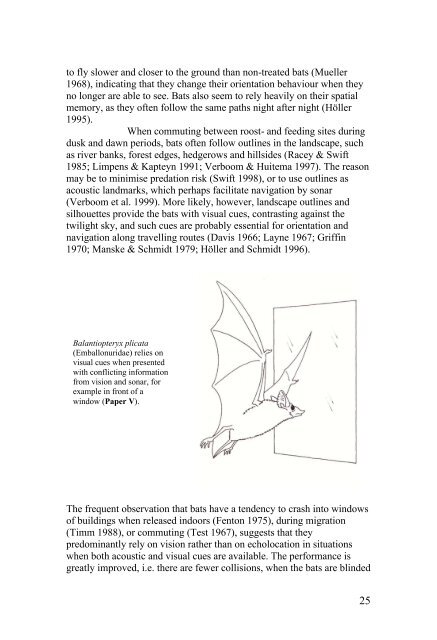 Vision in echolocating bats - Fladdermus.net