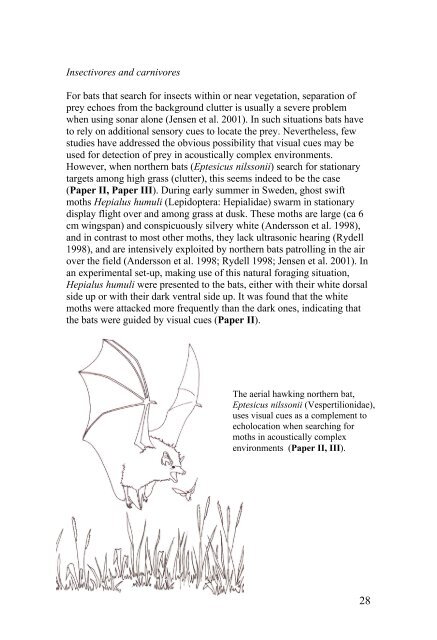 Vision in echolocating bats - Fladdermus.net