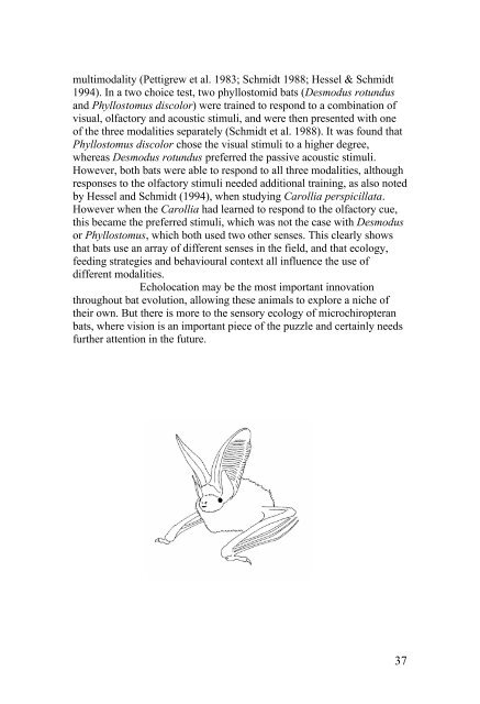 Vision in echolocating bats - Fladdermus.net