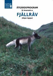 Action Plan for Arctic Fox (in Swedish with ... - Regional Red List