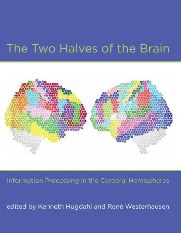 The Two Halves of the Brain: Information Processing in the Cerebral ...