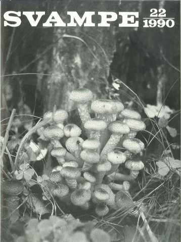 Anmeldelse