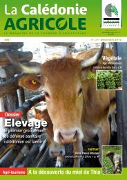 Elevage - Chambre d'Agriculture de Nouvelle Calédonie