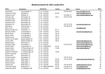 Medlemmar 2013 - CSK Ludvika