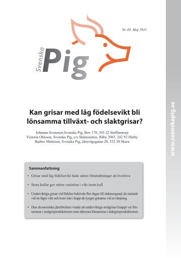 Läs hela rapporten - Svenska Pig