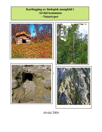 Kartlegging av biologisk mangfold i Alvdal kommune - Naturtyper