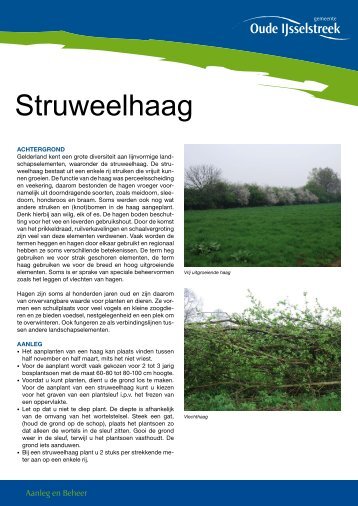 Struweelhaag - De gemeente Oude IJsselstreek