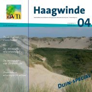 Haagwinde 4 - AVN