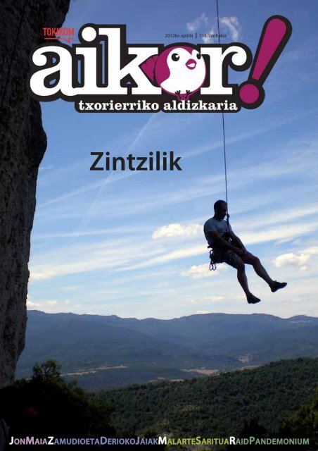 Zintzilik - Aikor