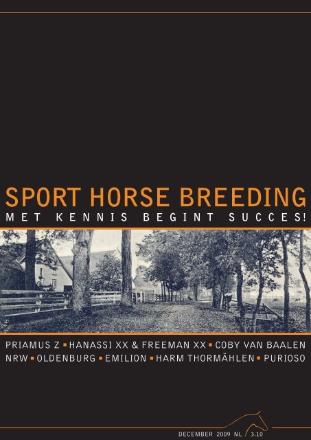 emilion - VDL Stud