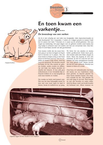 En toen kwam een varkentje... - Grasspriet