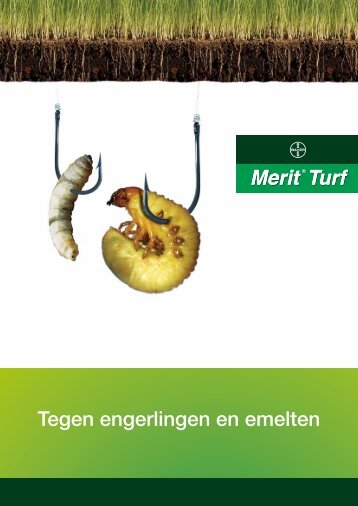 Tegen engerlingen en emelten - Bayer CropScience