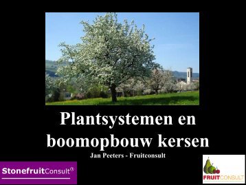 Plantsystemen en boomopbouw kersen - DLV Plant