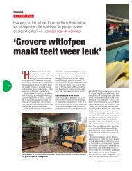 'Grovere witlofpen maakt teelt weer leuk' - boerentaal.nl