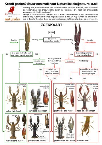 zoekkaart voor kreeften - Federatie Midden Nederland