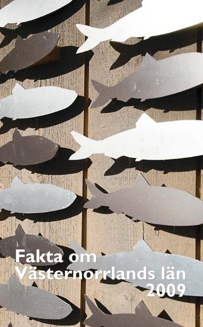 Fakta om Västernorrlands