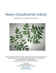 Neem (Azadirachta indica) - Akupunkturakademin