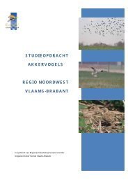 studierapport akkervogels - Regionaal Landschap Groene Corridor ...