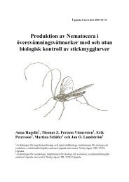 Produktion av Nematocera i översvämningsvåtmarker ... - Mygg.se