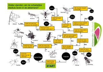 Insectenzoekkaart - Akkerranden in Flevoland