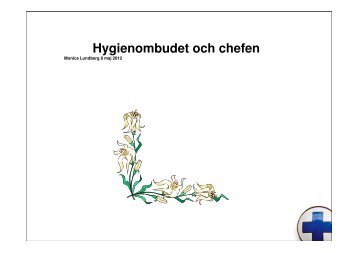 Hygienombudet och chefen