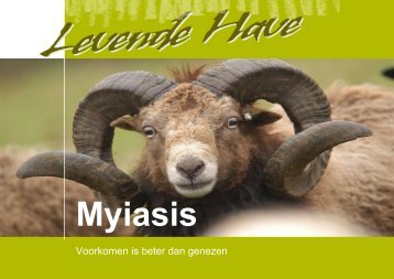 Myiasis: voorkomen is beter dan genezen - Levende Have