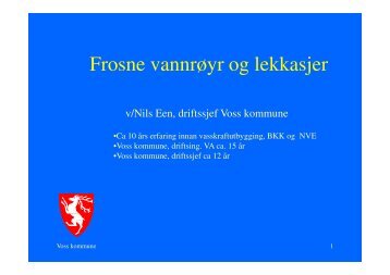 Frosne vannrøyr og lekkasjer