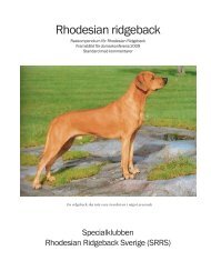 Raskompendium - Specialklubben Rhodesian Ridgeback Sverige