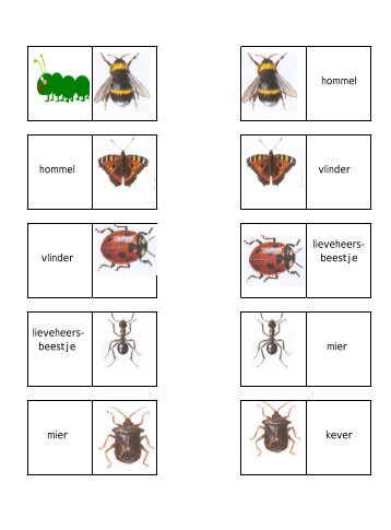 leesrups insekten.pdf - Kleutergroep