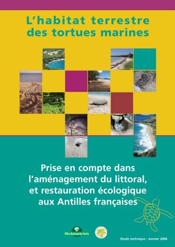 Imprimer etude tortues - Réserve naturelle de Saint-Martin