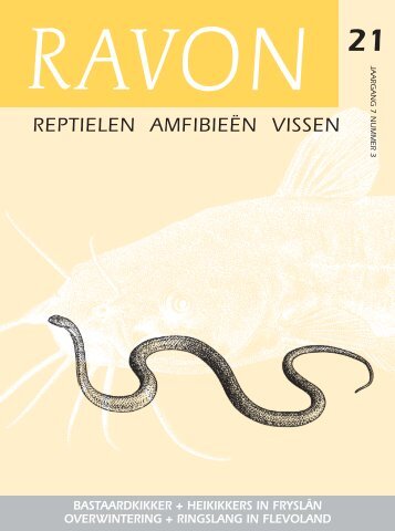 Download (PDF) - Ravon