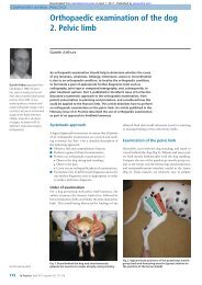 Orthopaedic Examination Of The dog 2. Pelvic Limb