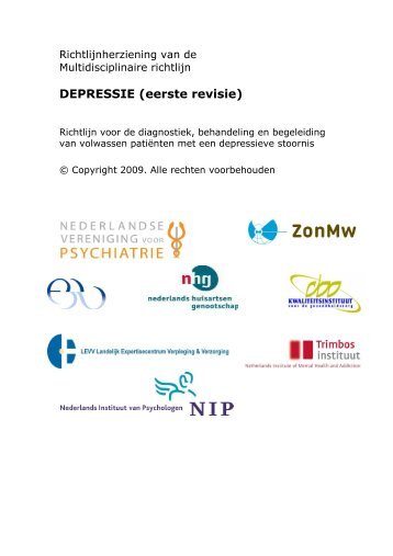 DEPRESSIE (eerste revisie) - GGZ-richtlijnen