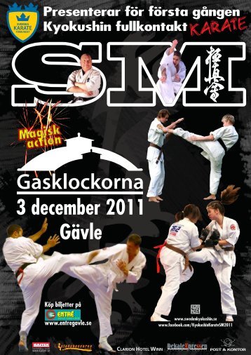 3 december 2011 Gävle - Kyokushin fullkontakt karate SM 2011
