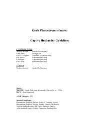 Koala Phascolarctos cinereus Captive Husbandry Guidelines