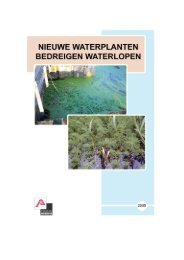 nieuwe waterplanten bedreigen waterlopen - Natuurpunt Neerpelt