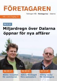 FÖRETAGAREN FÖRETAGAREN - Reporter AB