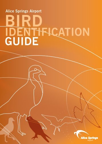 Alice Springs Airport Bird Identification Guide - NT Airports