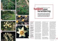 T&L Wim Oudshoorn over tulpen voor verwildering 21 ... - De Warande