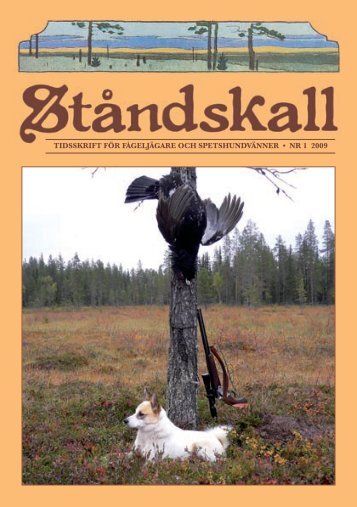 TidsskrifT för fågeljägare och speTshundvänner • nr 1 2009