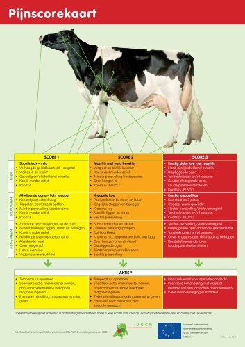 pijnscorekaart en de pijnpreventietabel - Melkvee.nl