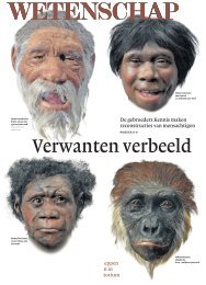 De gebroeders Kennis maken reconstructies van mensachtigen ...