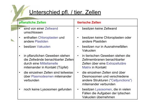 Die Pflanzenzelle