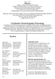 2005 nr 3 - Gotlands Ornitologiska Förening