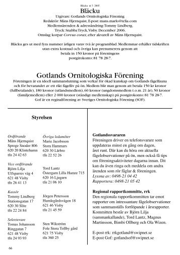 2005 nr 3 - Gotlands Ornitologiska Förening