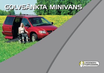 Skriv ut PDF - Hedemora Anpassning