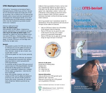 Husk CITES-beviset når du køber Grønlandsk ... - Greenland Guide