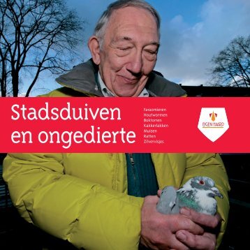 Stadsduiven en ongedierte