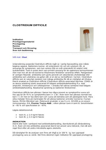 CLOSTRIDIUM DIFFICILE